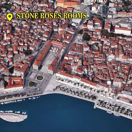 Stone Roses